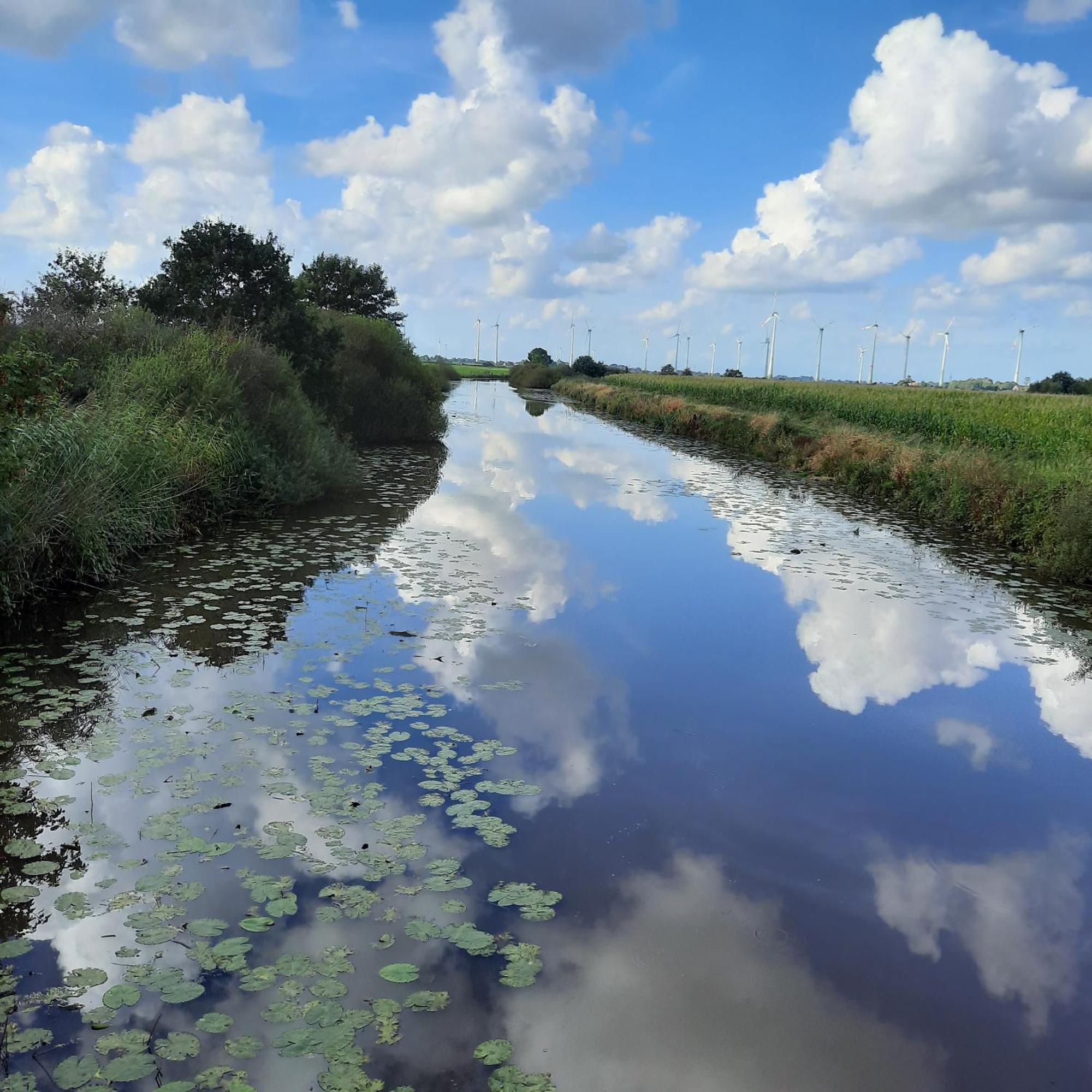 Harle-Casa.Ostfriesland Villa Altfunnixsiel Bagian luar foto