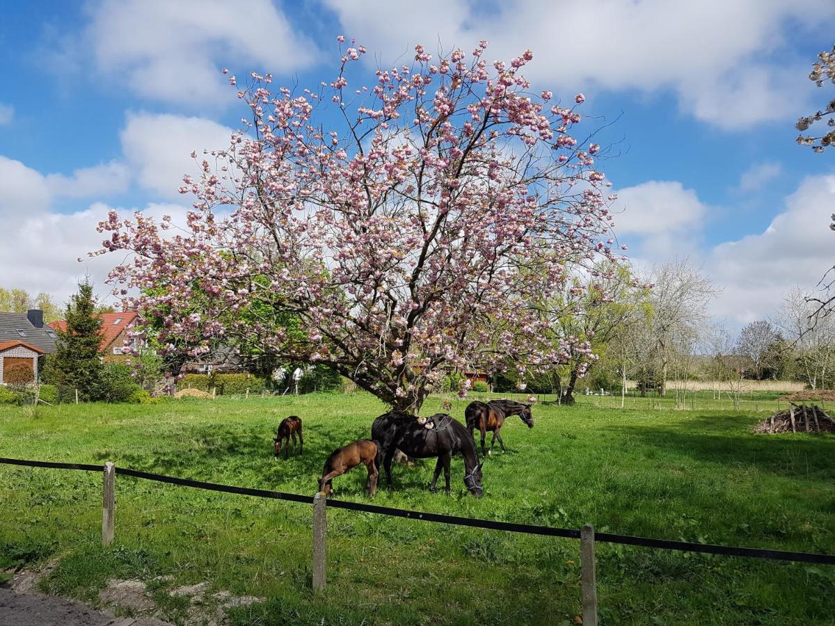 Harle-Casa.Ostfriesland Villa Altfunnixsiel Bagian luar foto